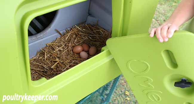 Chicken Coop Nest Box