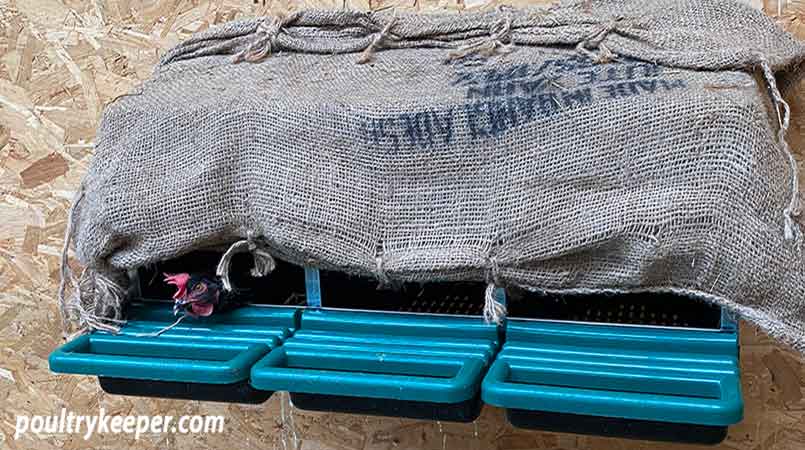 Nest Boxes Covered with Sack