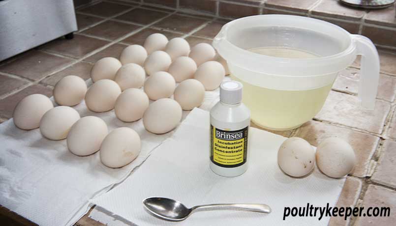 How to Wash Fresh Eggs and When It's Best to Leave Them Unwashed