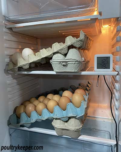 Inside Egg Storage Fridge