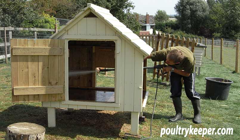 Cleaning Chicken House Red Mite Treatment