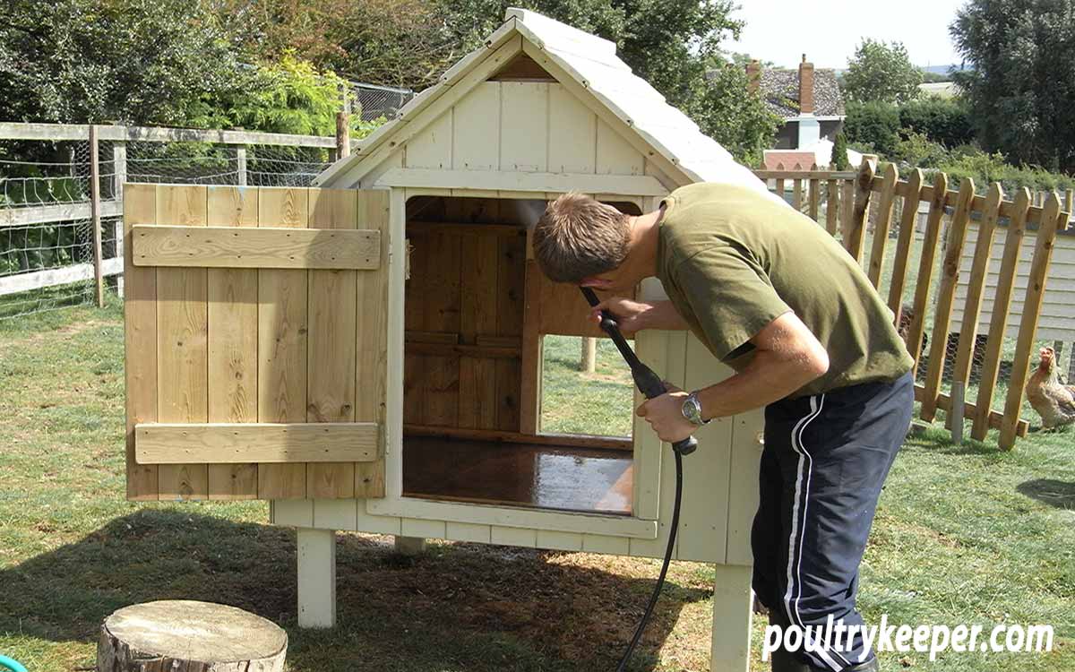 Washing a Chicken House to Get Rid of Red Mites