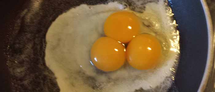 What our pullet egg looked like, then a double yolker from our