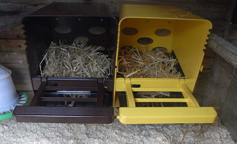 Chick Box Plastic Nest Box