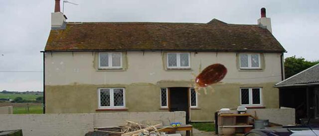 Will Red Mite Infest Your House? 14 red mite infesting house