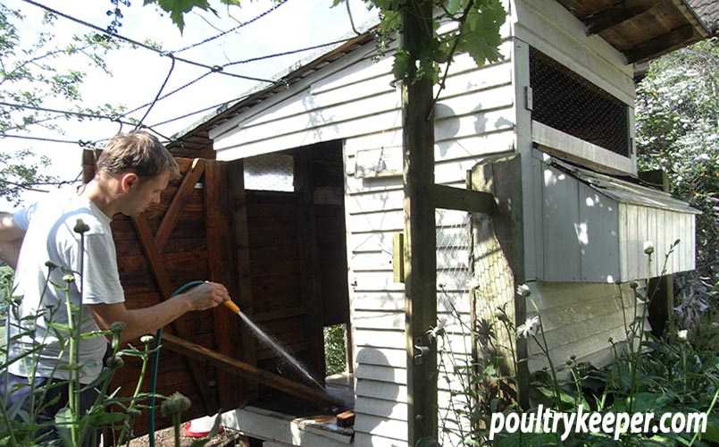 Cleaning Chicken House Red Mite