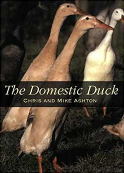 The Domestic Duck Book