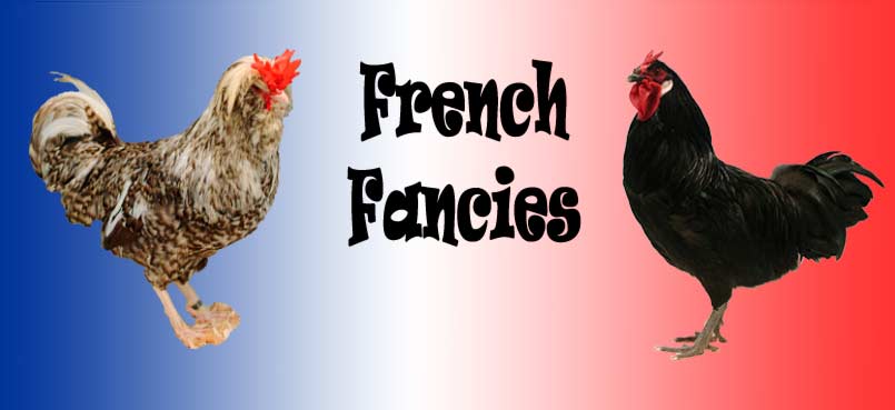 French Fancy Chicken Breeds