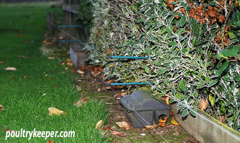 Electric Fence Wires to Stop Foxes