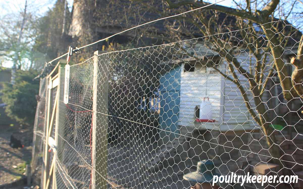 Omlet Chicken Fencing, Poultry Netting for Chickens