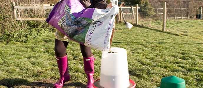 Preparing for the Breeding Season