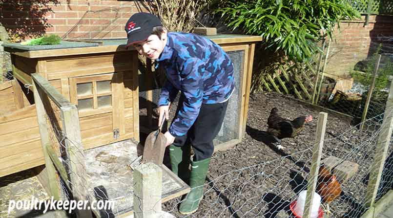 Young Boy Looking After Chickens.