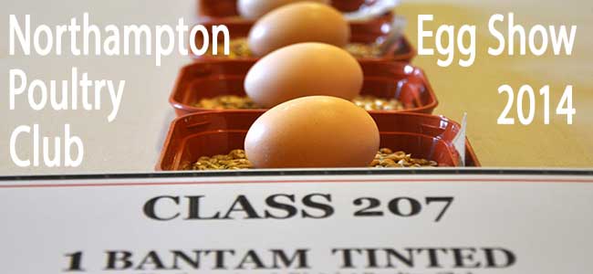Northampton Egg Show 2014
