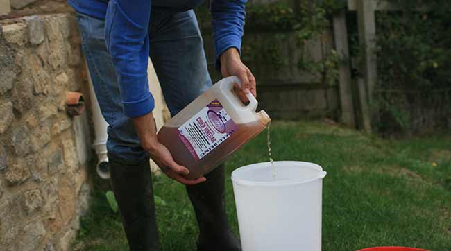 Adding-Apple-Cider-Vinegar-to-Water