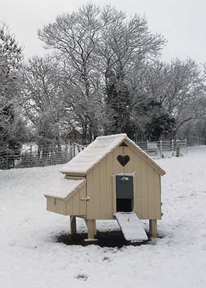 Chicken House in the Snow