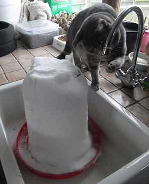 Frozen Water container