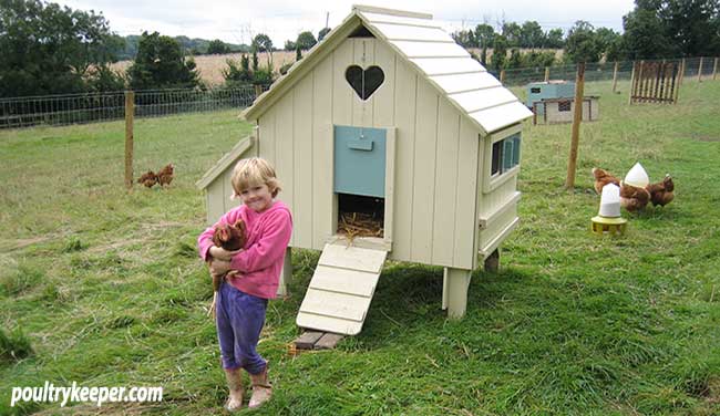 Choosing a Chicken House