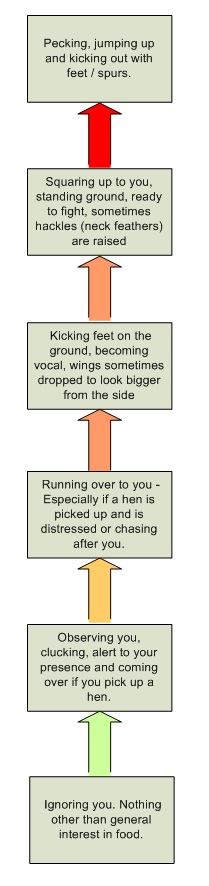 Ladder of Aggression Diagram