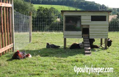 Chicken House