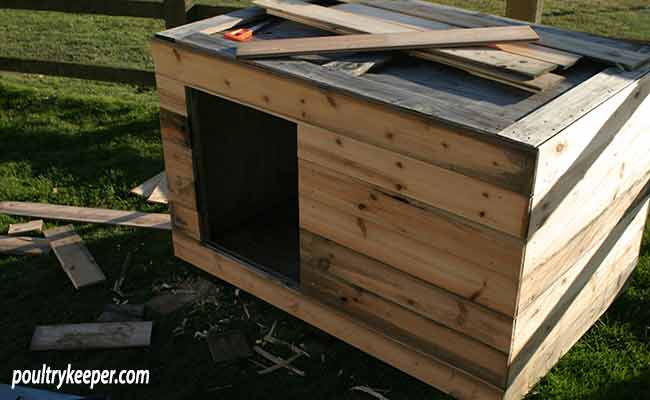 A Cheap Chicken Or Duck House