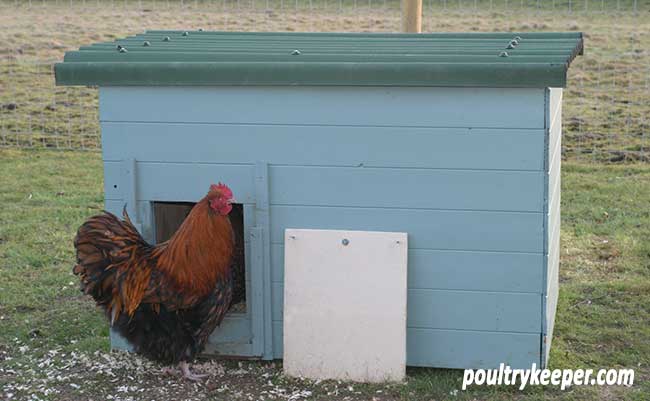 A Cheap Chicken Or Duck House   Cheap Chicken House From Packing Crate 