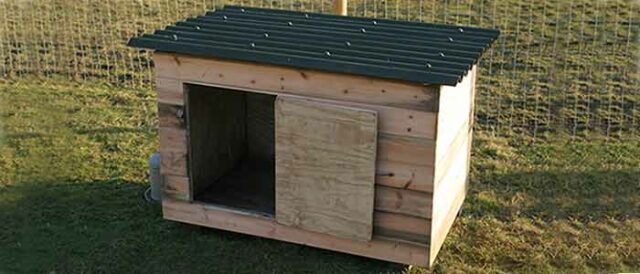 Cheap Chicken or Duck House