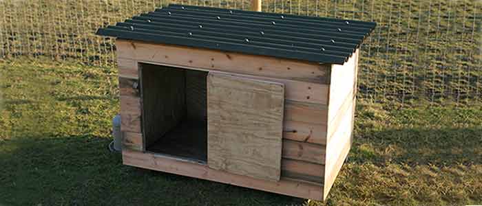 Cheap Chicken or Duck House