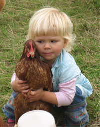 Child with Ex-Battery Hen