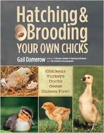 Hatching and Brooding book cover