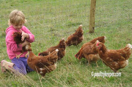 Hens with Child