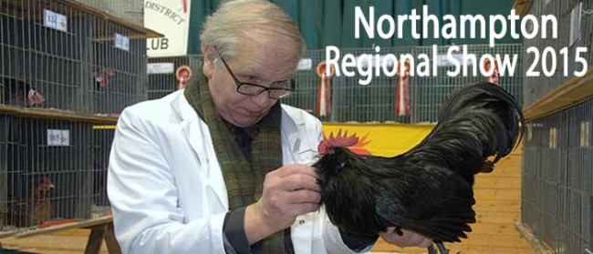 Northampton Regional Show 2015