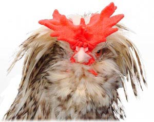 Head of Houdan Chicken