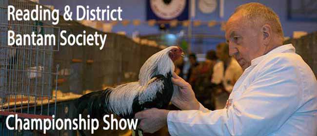 Reading Bantam Show