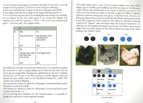 21st Century Poultry Breeding Book Page