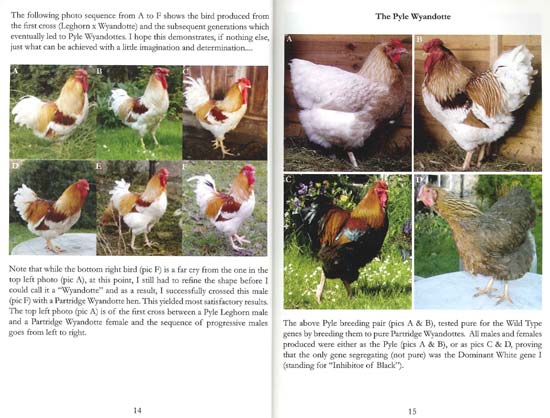 21st Century Poultry Breeding Book Page