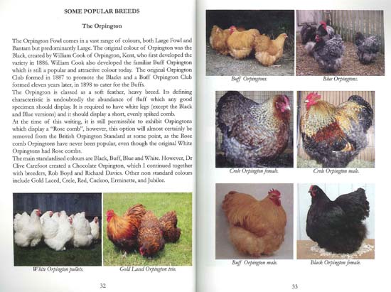 21st Century Poultry Breeding Book Page