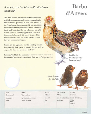 Illustrated Guide to Chickens Book Page