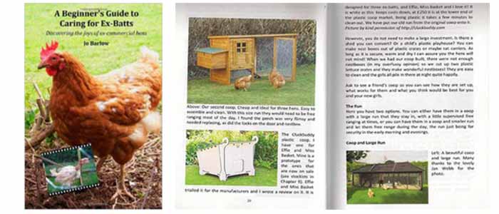 Begineers Guide To Ex Batts Book Review