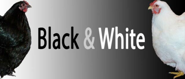 Black and White