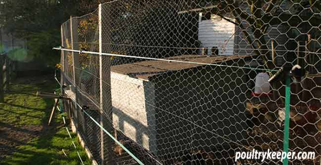 A Fence for Chickens - Backyard Poultry