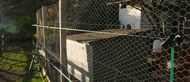 Poultry Fencing