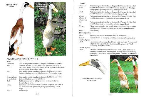 British Waterfowl Standards Sample Page