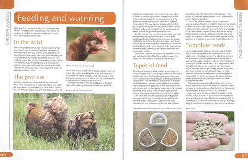 Chicken Manual Sample Page