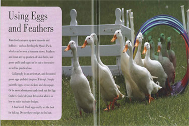 Keeping Ducks and Geese Book Page