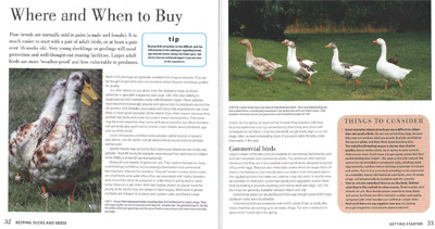 Keeping Ducks and Geese Book Page