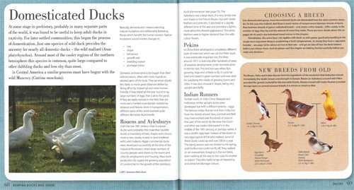 Keeping Ducks and Geese Book Page