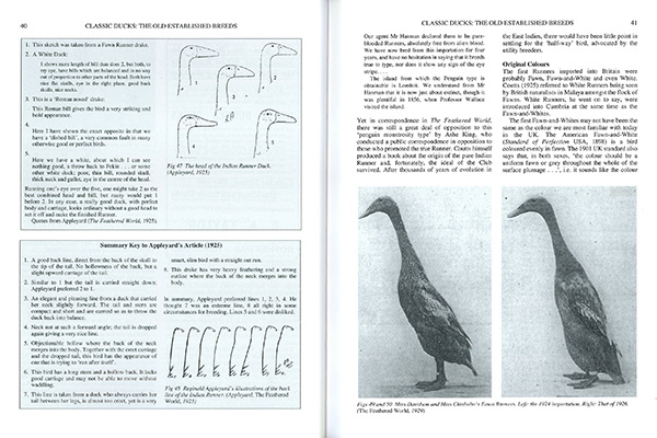 Domestic Duck Book Sample Page