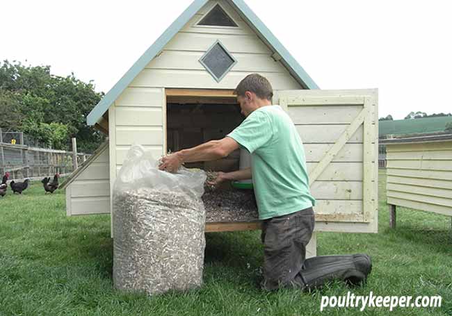 Chopped Cardboard for Chicken Bedding