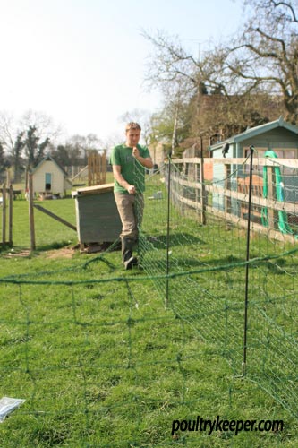 Omlet Chicken Netting Setup