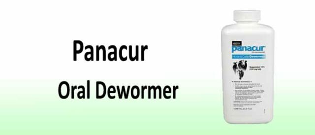 Panacur - Used For Worming 20 Panacur Wormer